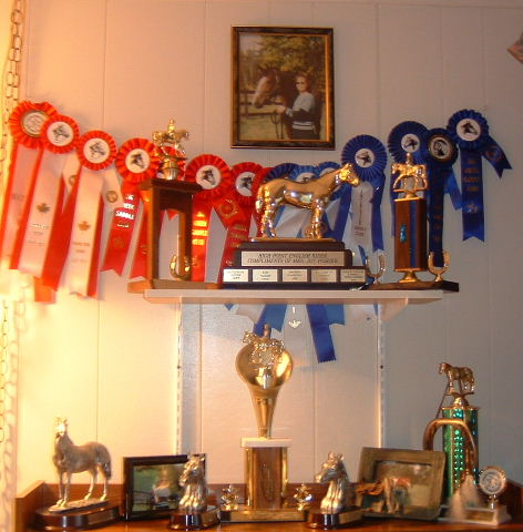 ribbons