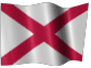 BAMMER! Flag
