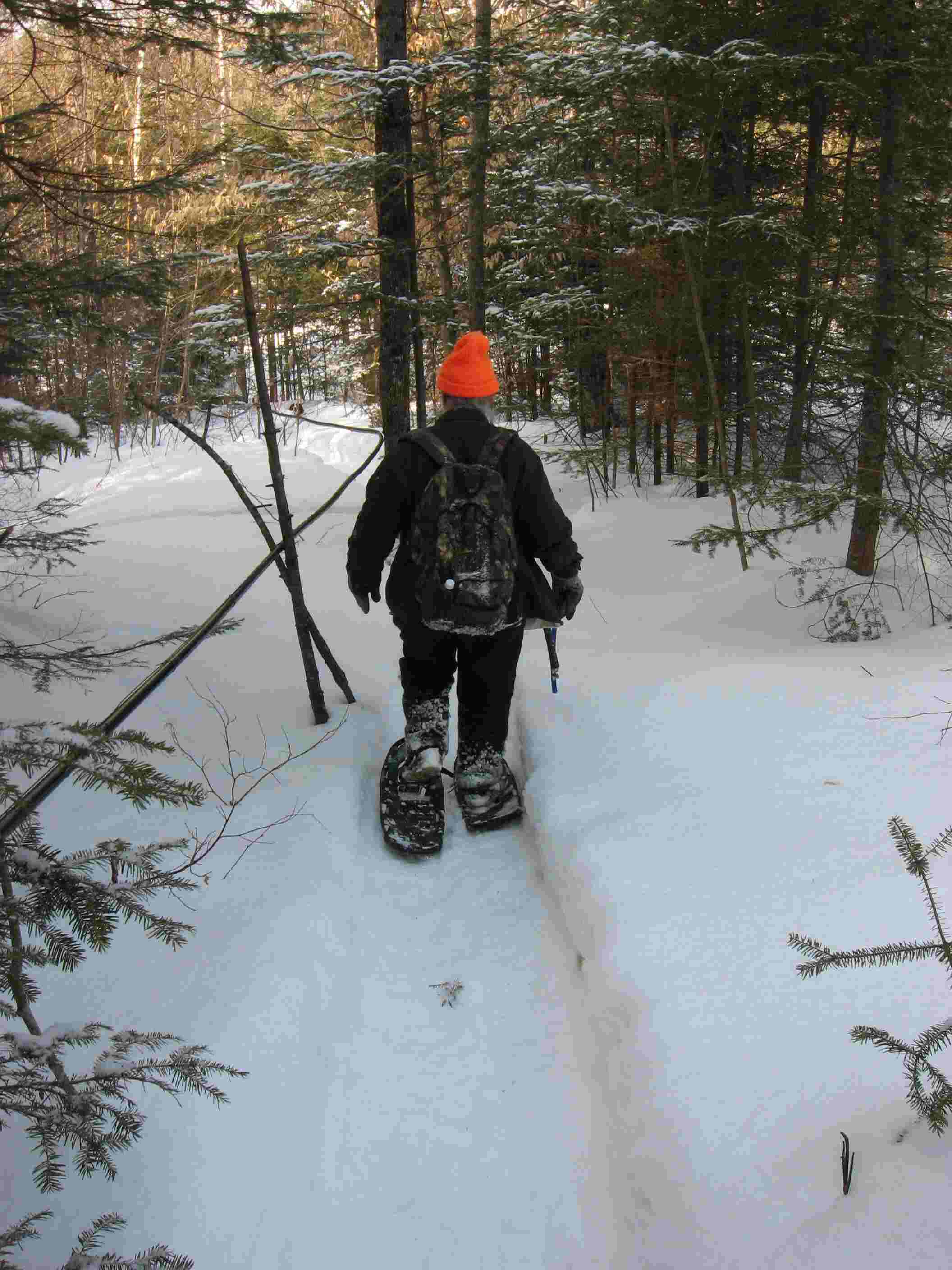 Snowshoing on Beede Mountain