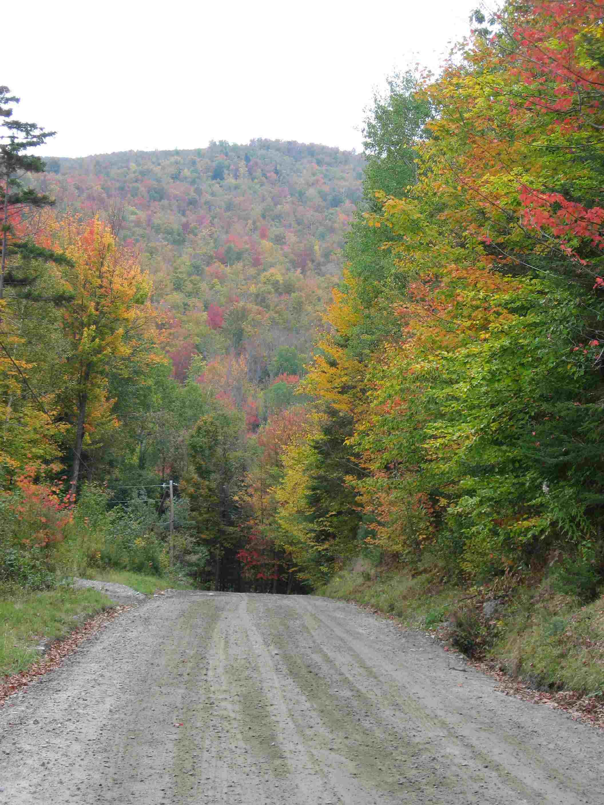 Miller Road in the fall