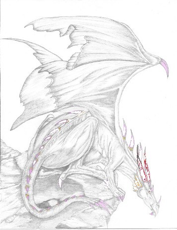 The dragon