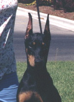 Mirage's face at about 4 months