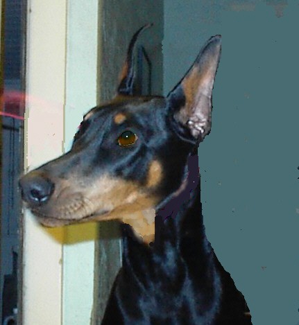 Mirage's face at about 10 months