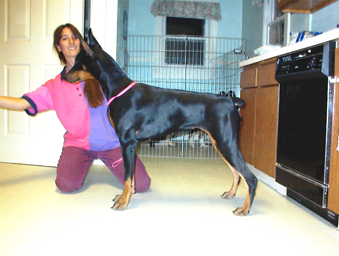 Mirage at about 10 months