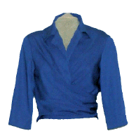 blutop.gif (89990 bytes)