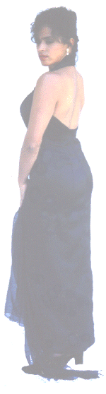 halterb.gif (145584 bytes)