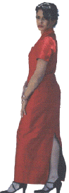 redsuit.gif (12051 bytes)