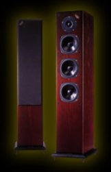 Acoustic Energy 520, my present speakers