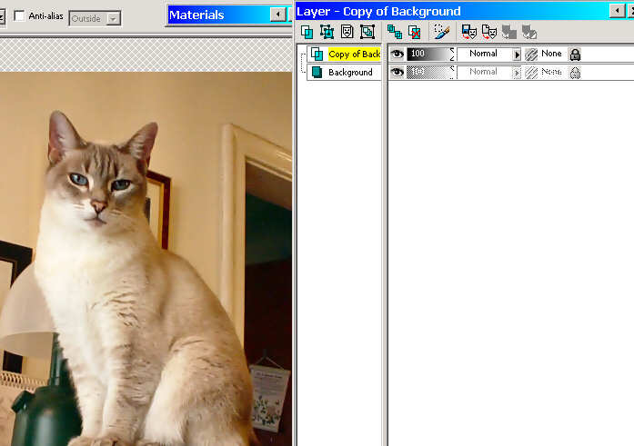Layer Duplicated