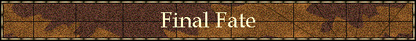 Final Fate