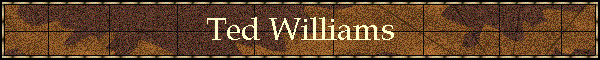 Ted Williams