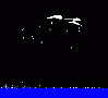 whale 177x160 - (3807 bytes)