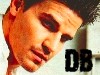 David Boreanaz