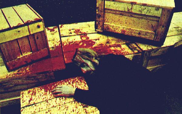 /user/bloodyboxes.jpg