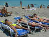 4sunbathe.jpg (28950 bytes)