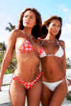 PLAYBOYTWINS.jpg (28378 bytes)