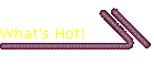 What's Hot!