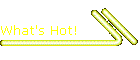 What's Hot!