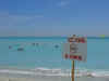 noswimming.jpg (10747 bytes)
