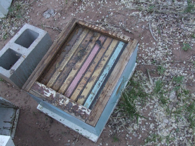 Image of screen on top of hive