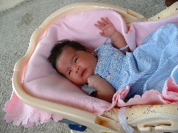 Little Nicole