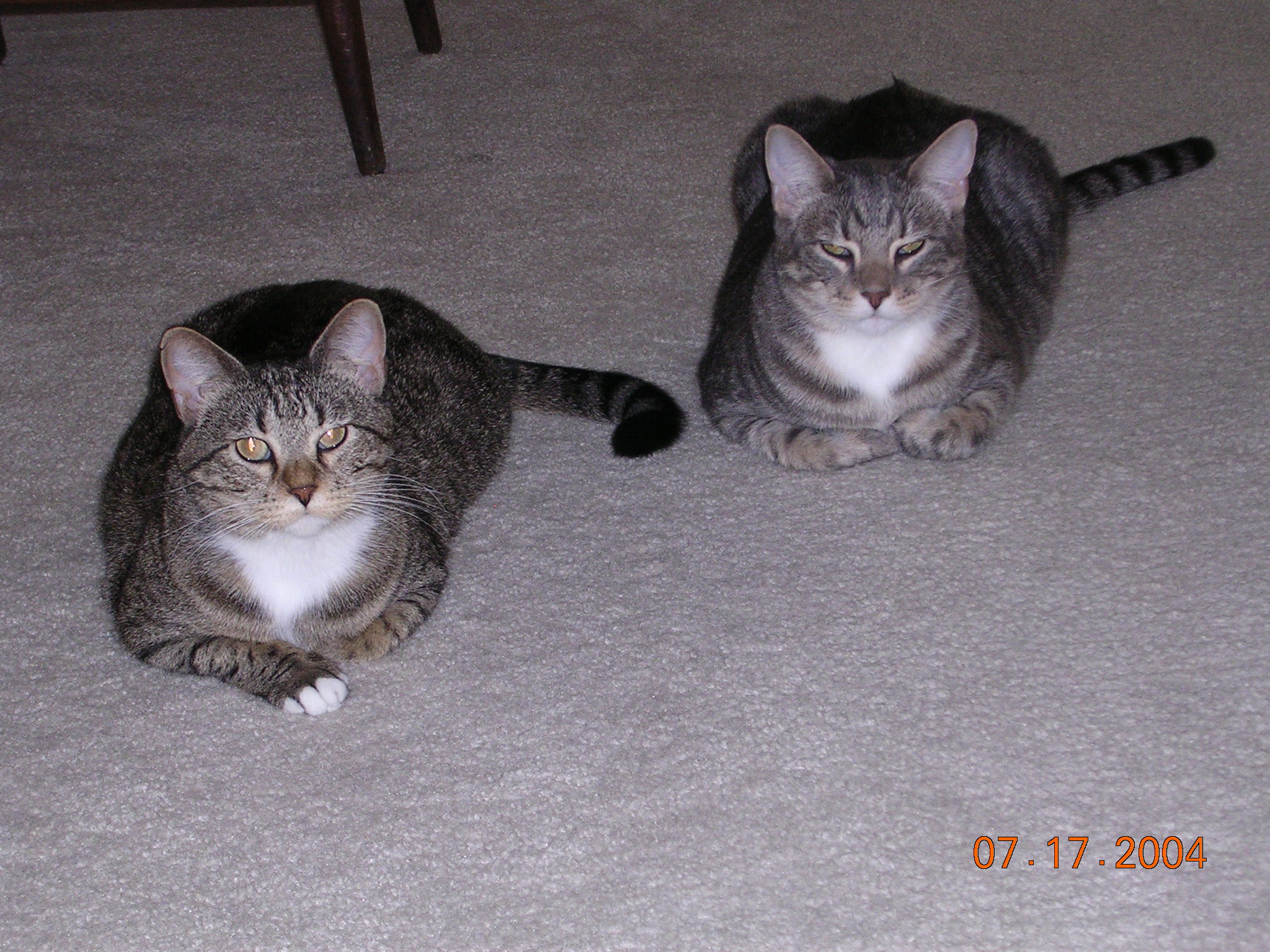 Abby, Norman being parallel