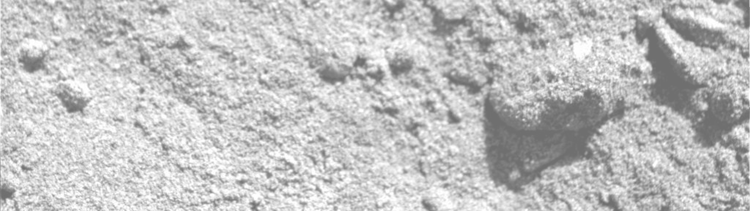 Trenching reveals worms that burrow vertically into the soil. A worm lies below the 'tubule' which has been dislodged by the Opportunity rovers wheel. This is one of the few worms seen out of the tubules.