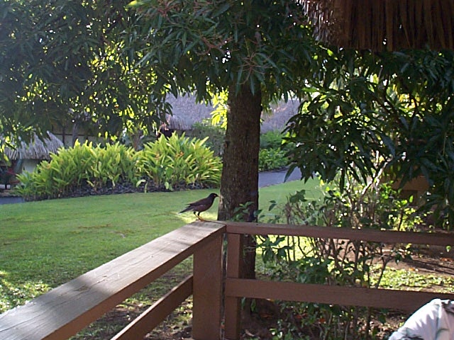 Barnyard Bungalow