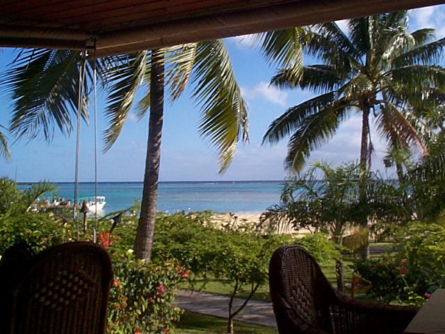 PARADISE!!!
