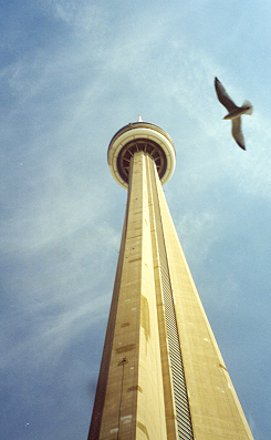CN Tower