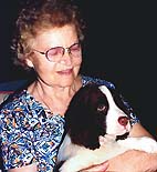 English Springer Spaniel puppy