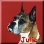 Julie's Picture