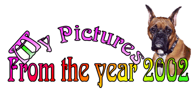 My Pictures From The Year 2002