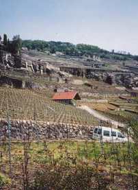 Swiss  wine country