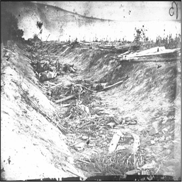 The Sunken Lane near the Hawthorn Ridge Crater