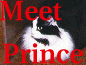 Prince Out Mascot