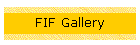 FIF Gallery