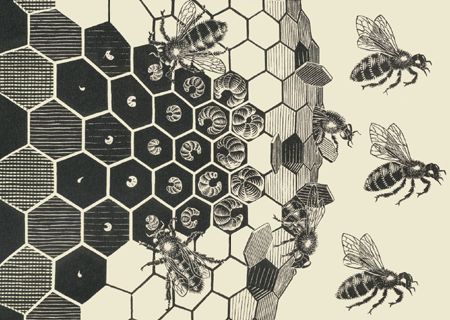 Metamophosis: woodcut by M.C. Escher