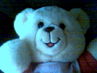 Meet Mr. Wiggles!
