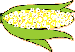 Corn Collage