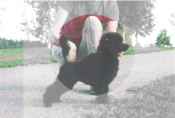 Boona kes�ll� 1999