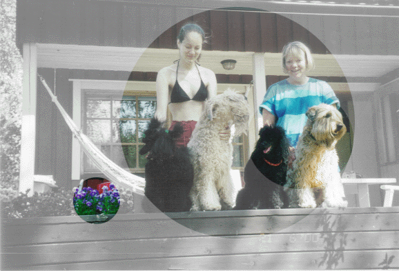 Boona kes�ll� 1999