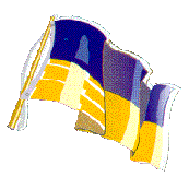 Ukrainian Flag