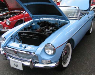 Paul Hanley's Iris Blue beauty.
