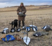 Jim and the decoys being repacked, we didn't attract any Canadas but did nab a passing White front(speckled belly).