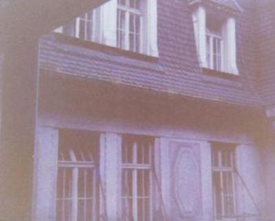 [Another courtyard view. The eaves were overgrown with miscellaneous flora and fauna.]