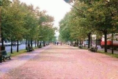 [Unter den Linden in the Fall]