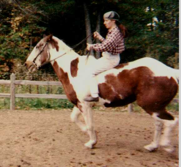 Click here to return to The Horses.......