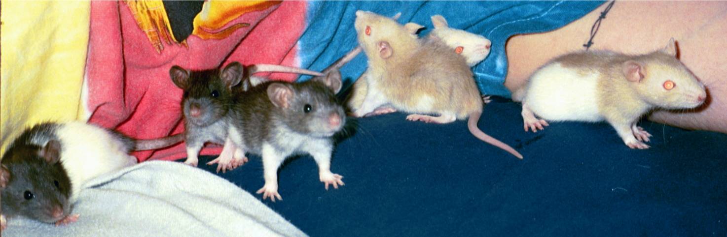 23 days old