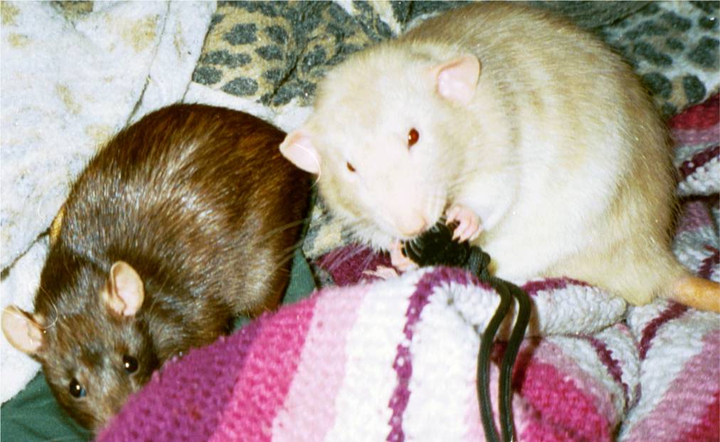 Jack and Lilith